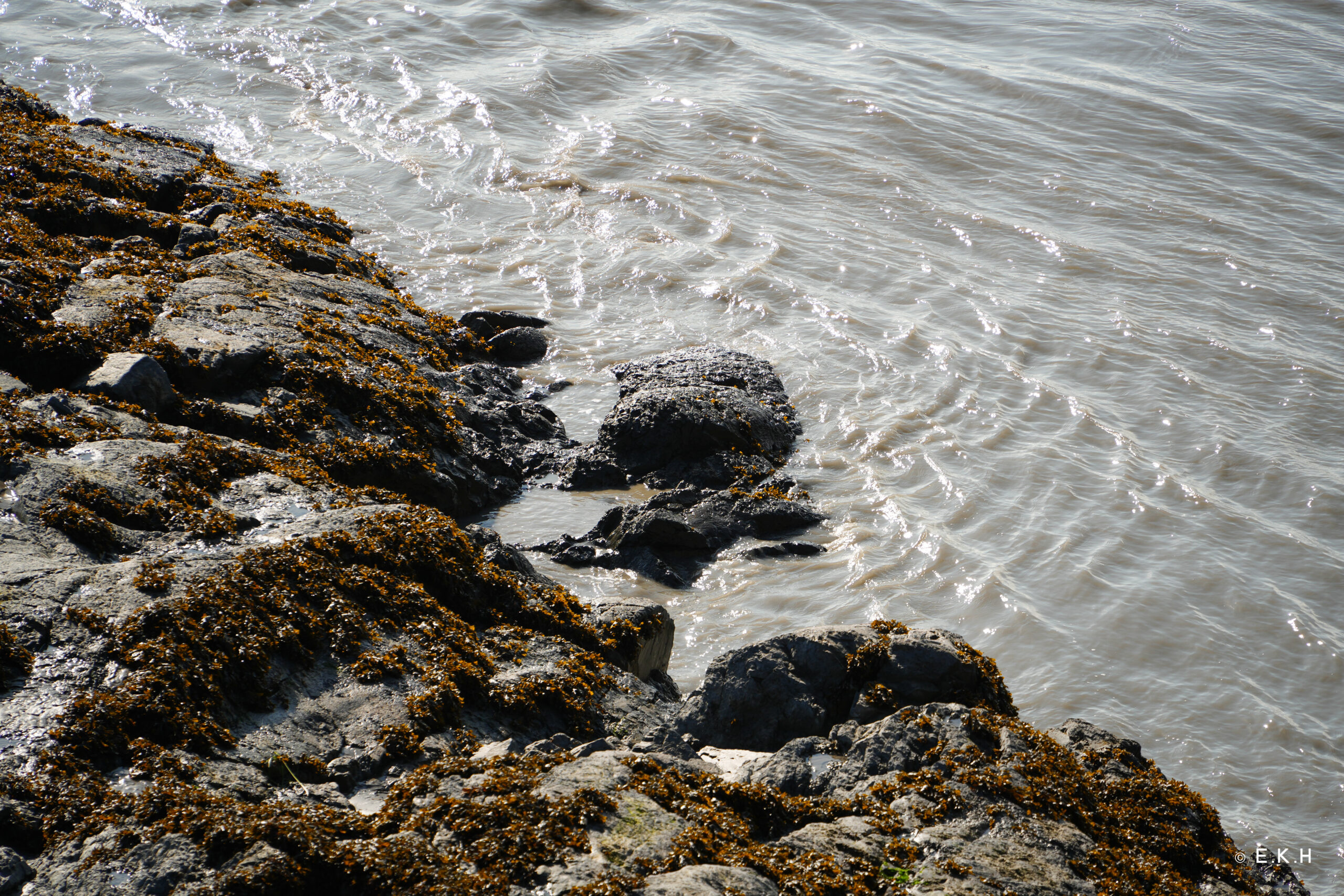 20230822-DSC06173