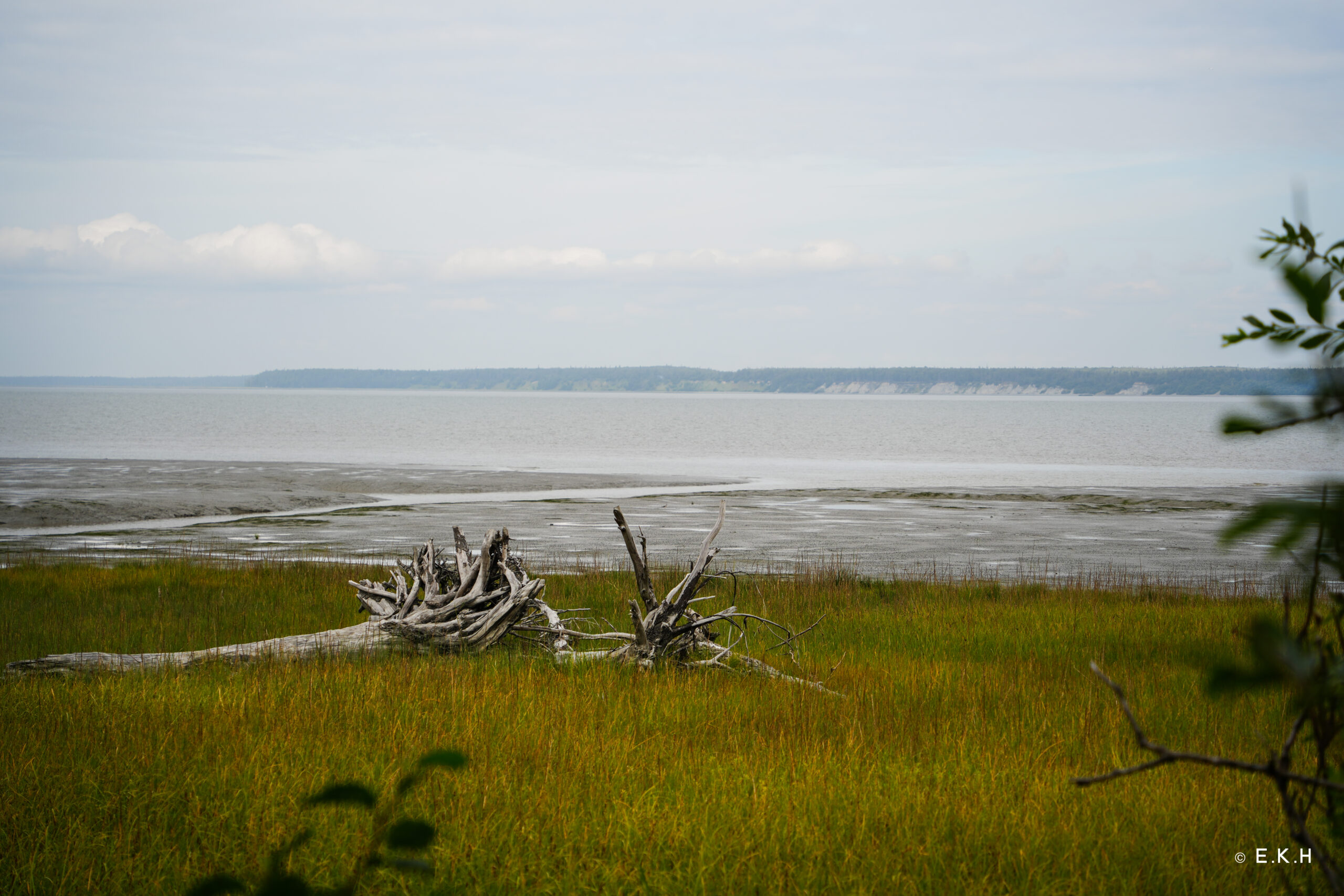 20230823-DSC07094