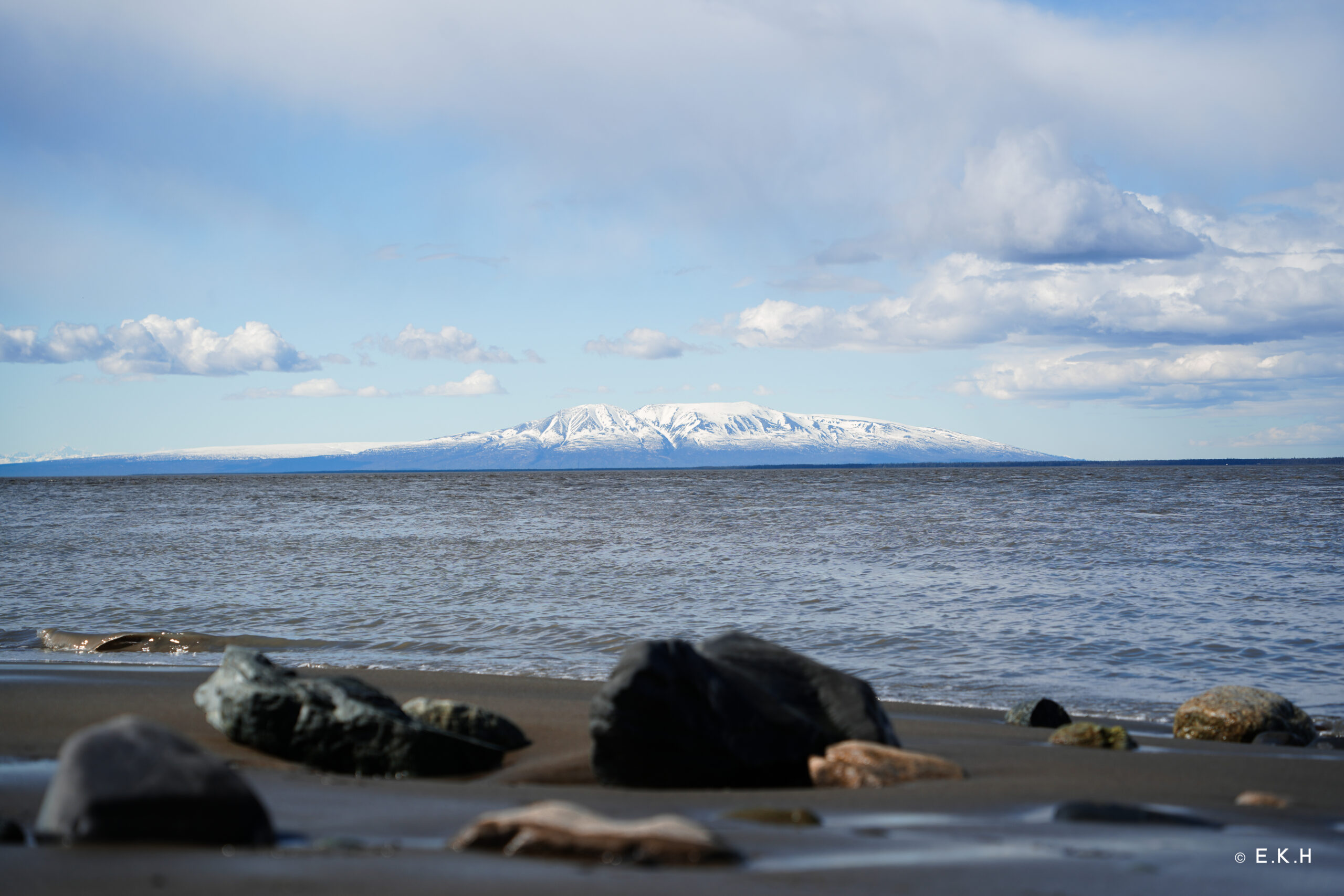 20240514-DSC02639
